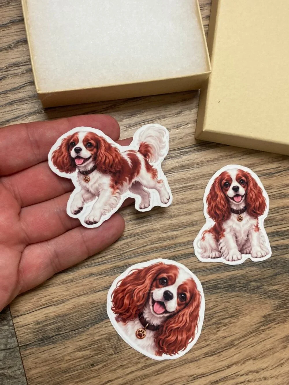 A Thousand Walks showcasing spaniel